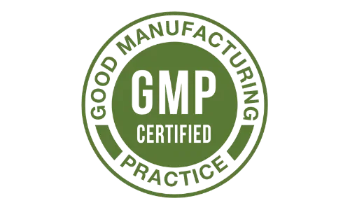 Moringa magic official gmp certified